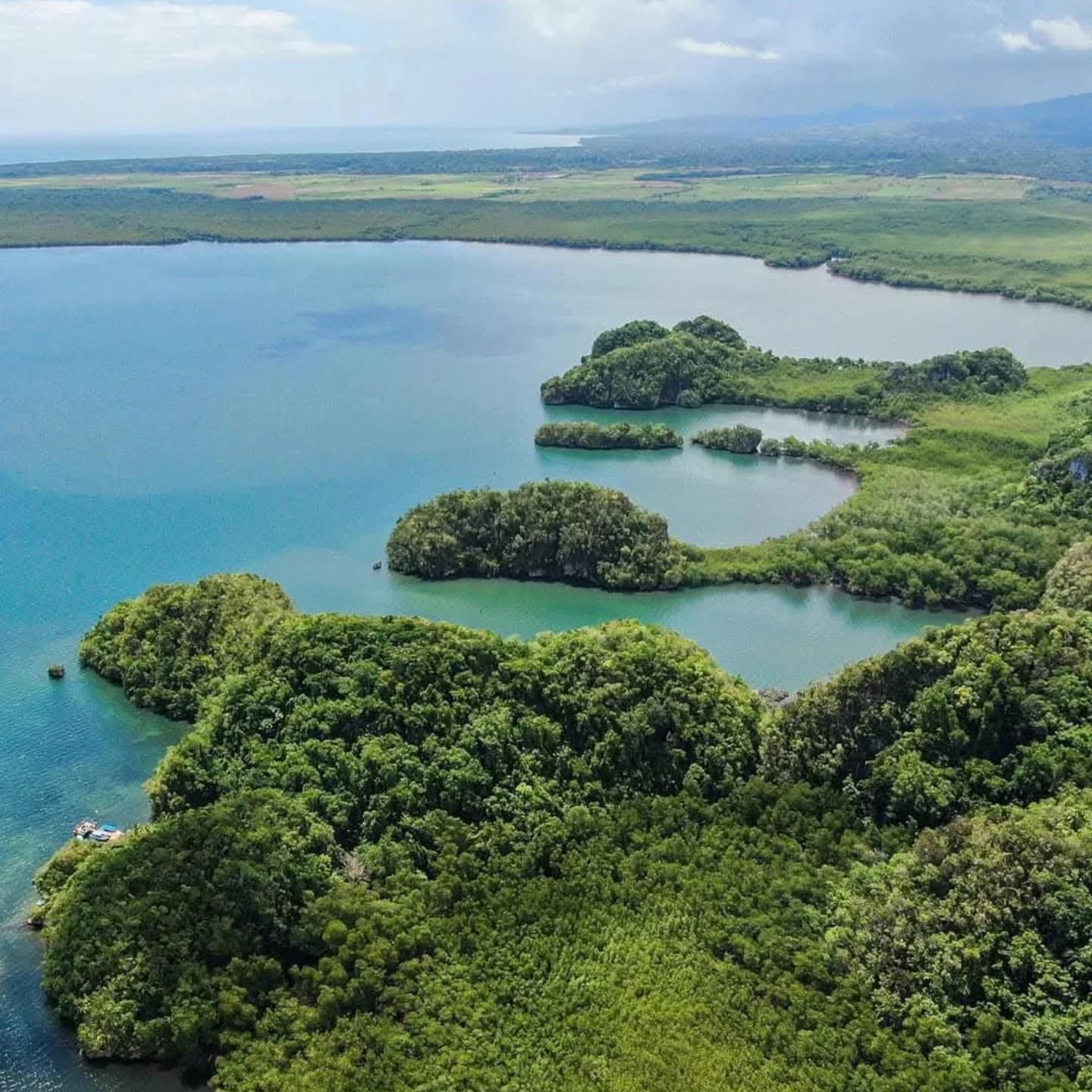 Samaná: Los Haitises National Park & Cayo Levantado Island — Guided tour and outdoor activity