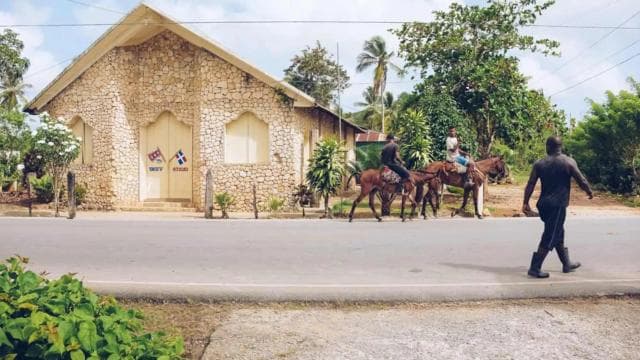 Punta Cana: Samana Full Day Trip Whale Cascada El Limon — Guided tour and outdoor activity