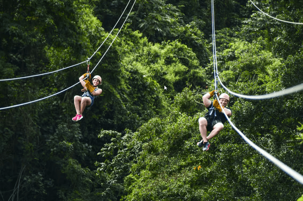 Punta Cana: Ziplines Adventures & Monkeyland Entry — Guided tour and outdoor activity