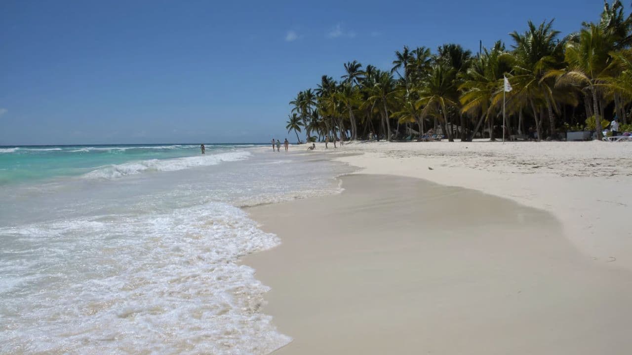 Saona premium mano Juan canto de la playa sightseeing tour — Guided tour and outdoor activity