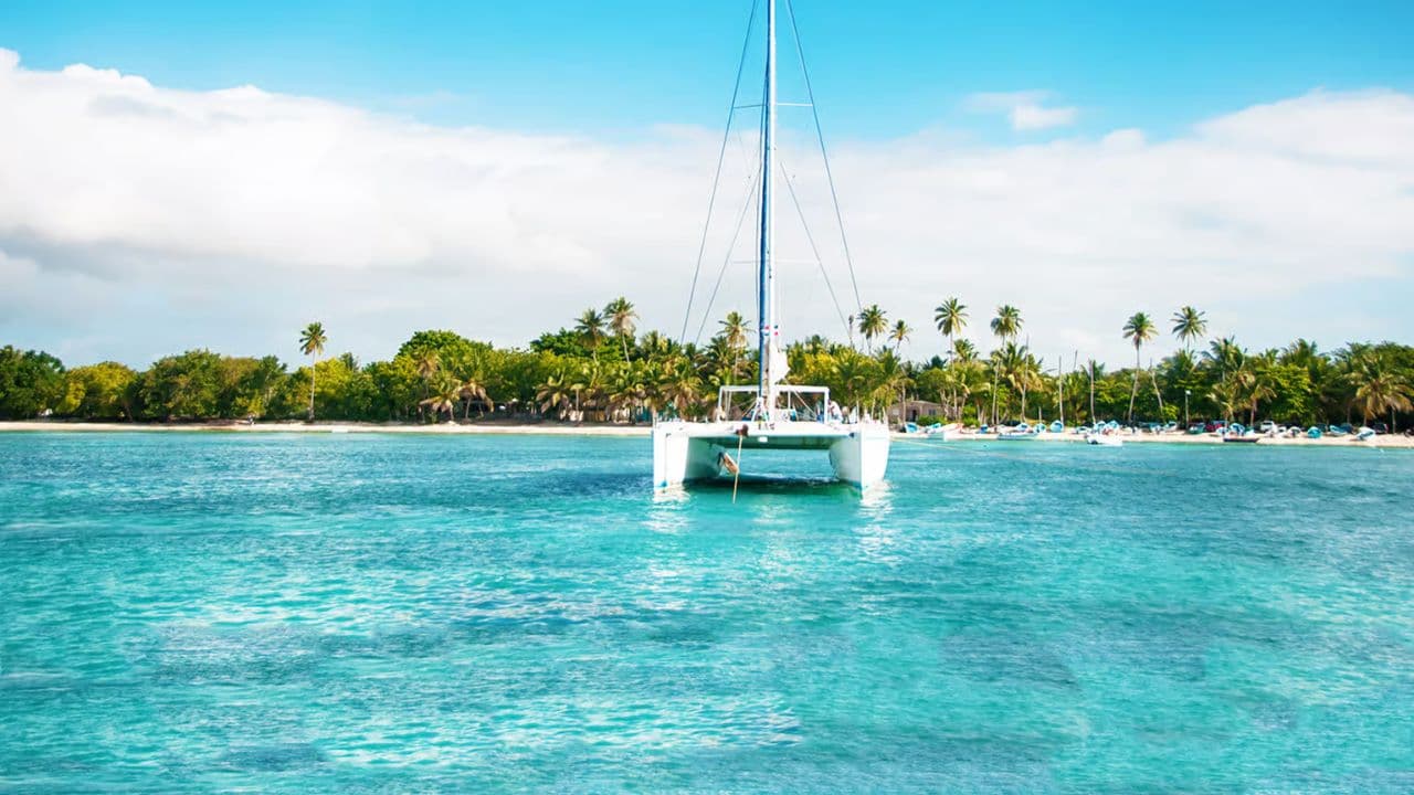 Privat zur Insel Saona: Schnellboottour ab Punta Cana — Guided tour and outdoor activity