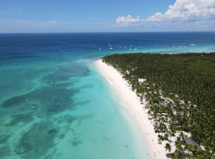 Île Saona vs île Catalina : laquelle devriez-vous visiter ?