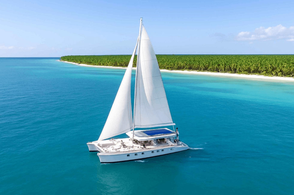Is Saona Island Worth Visiting? Pros and Cons