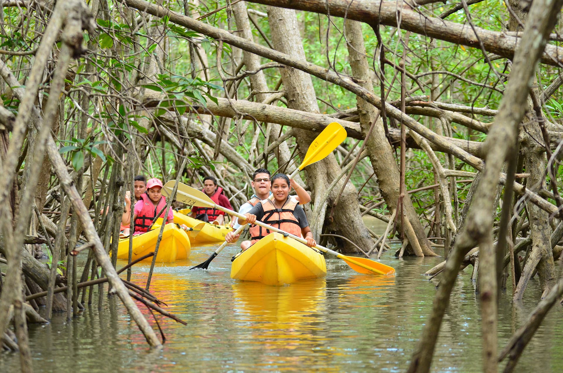 Small boat excursion navigating mangrove channels and wildlife in WHALE MICHES