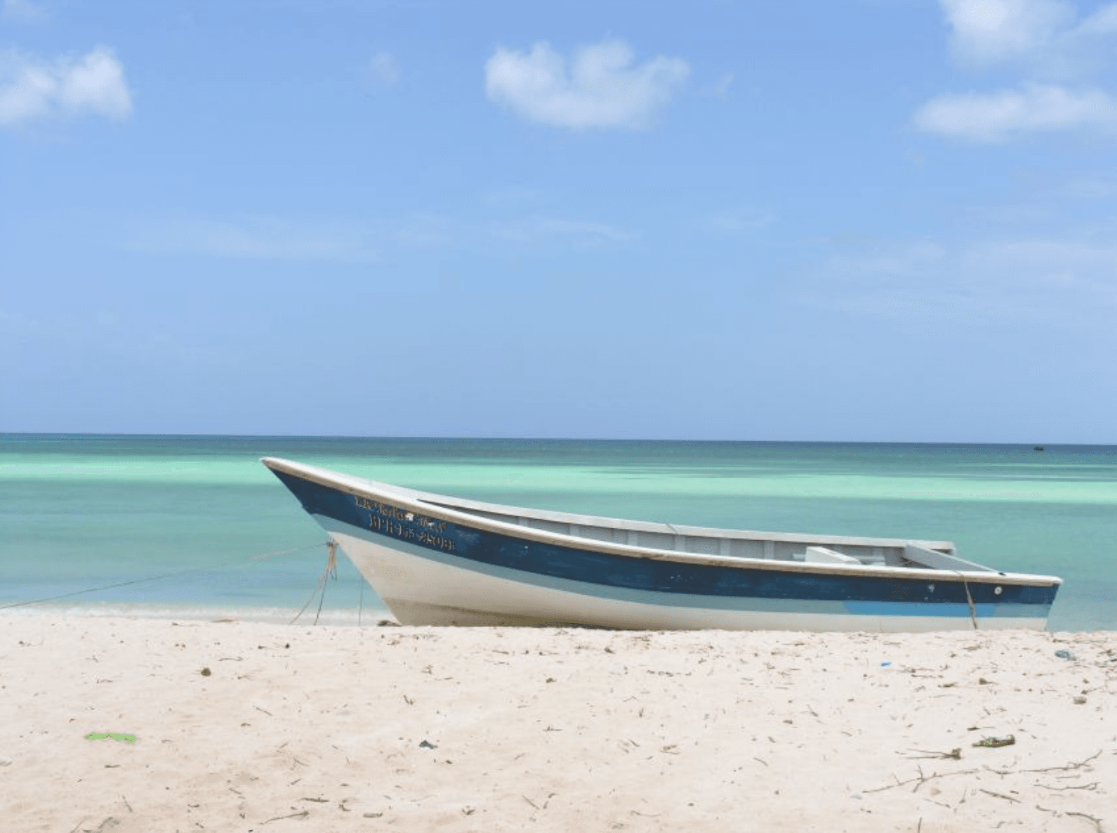 Panoramic view of limestone mogotes, pristine waters, and coast in WHALE MICHES