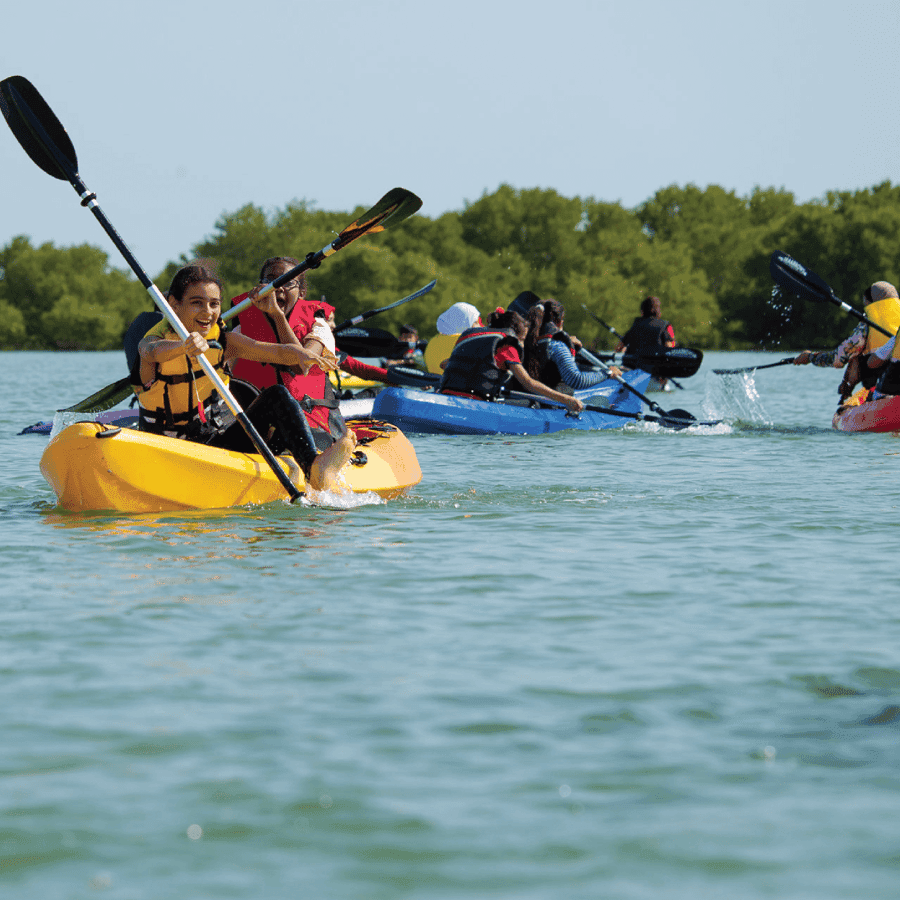 Z Punta Cana: Los Haitises & Caño Hondo soukromý výlet lodí — Guided tour and outdoor activity