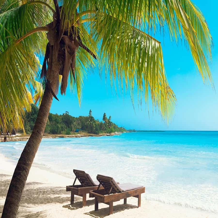 Juan Dolio: Ganztagestour zur Insel Saona mit Mittagessen und Getränken — Guided tour and outdoor activity