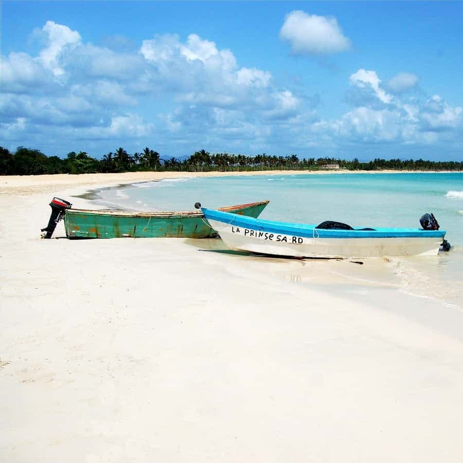 From Santo Domingo: Saona Island Catamaran Cruise with Lunch — Guided tour and outdoor activity