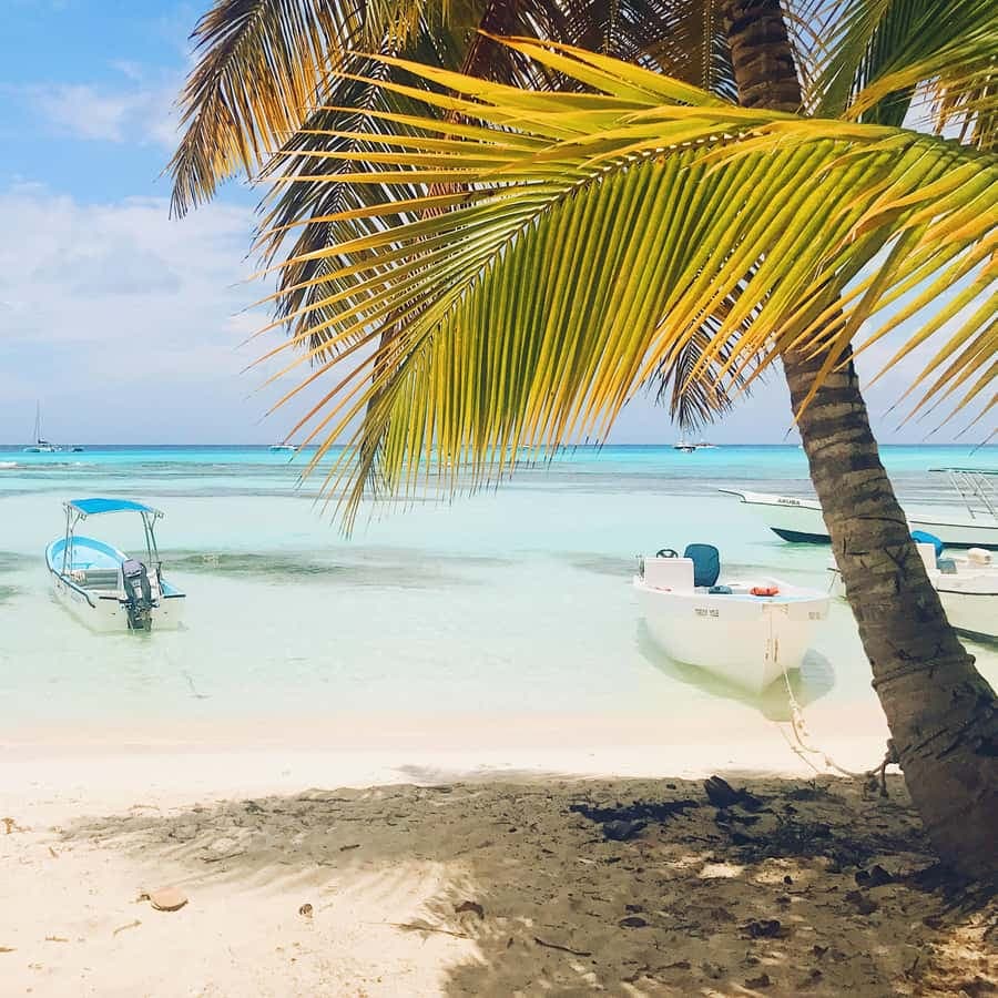 Bayahibe: Saona Island Plachtění v katamaránu s otevřeným barem — Guided tour and outdoor activity