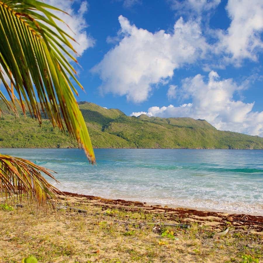 Samana Day Tour: Cayo Levantado & Rincon Bay Paradise — Guided tour and outdoor activity