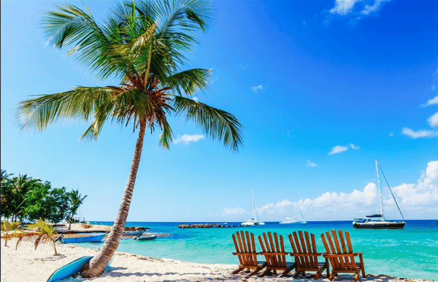 Saona Island Catamaran Cruise with Buffet — Guided tour and outdoor activity