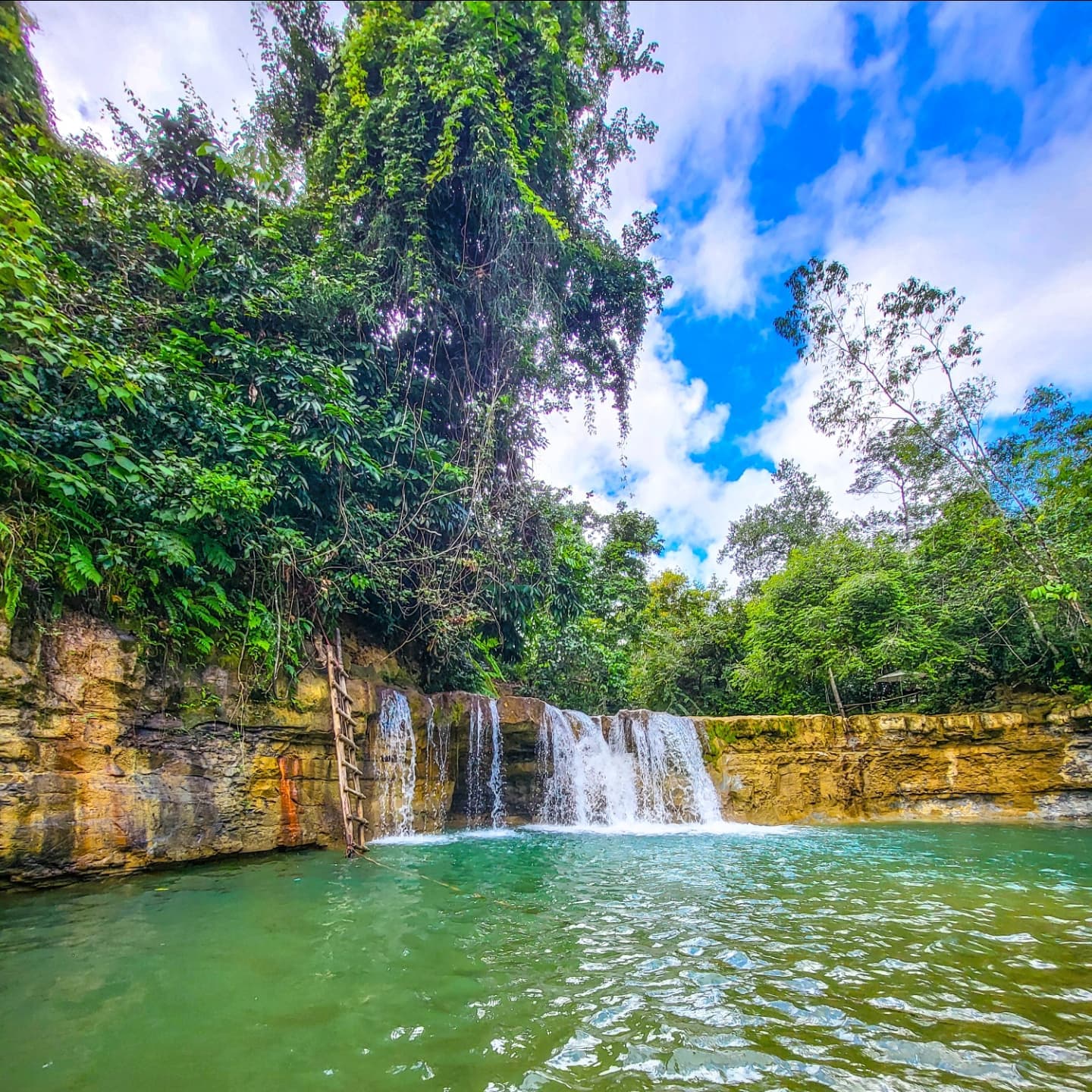 Los Haitises National Park Tour from Las Terrenas, Samaná. Half Day Trip. Lunch at Caño Hondo — Guided tour and outdoor activity