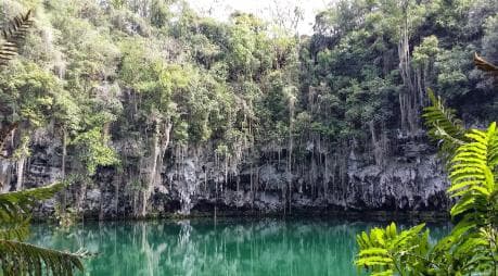 Santo Domingo: Natural Treasures of the City â Guided tour and outdoor activity