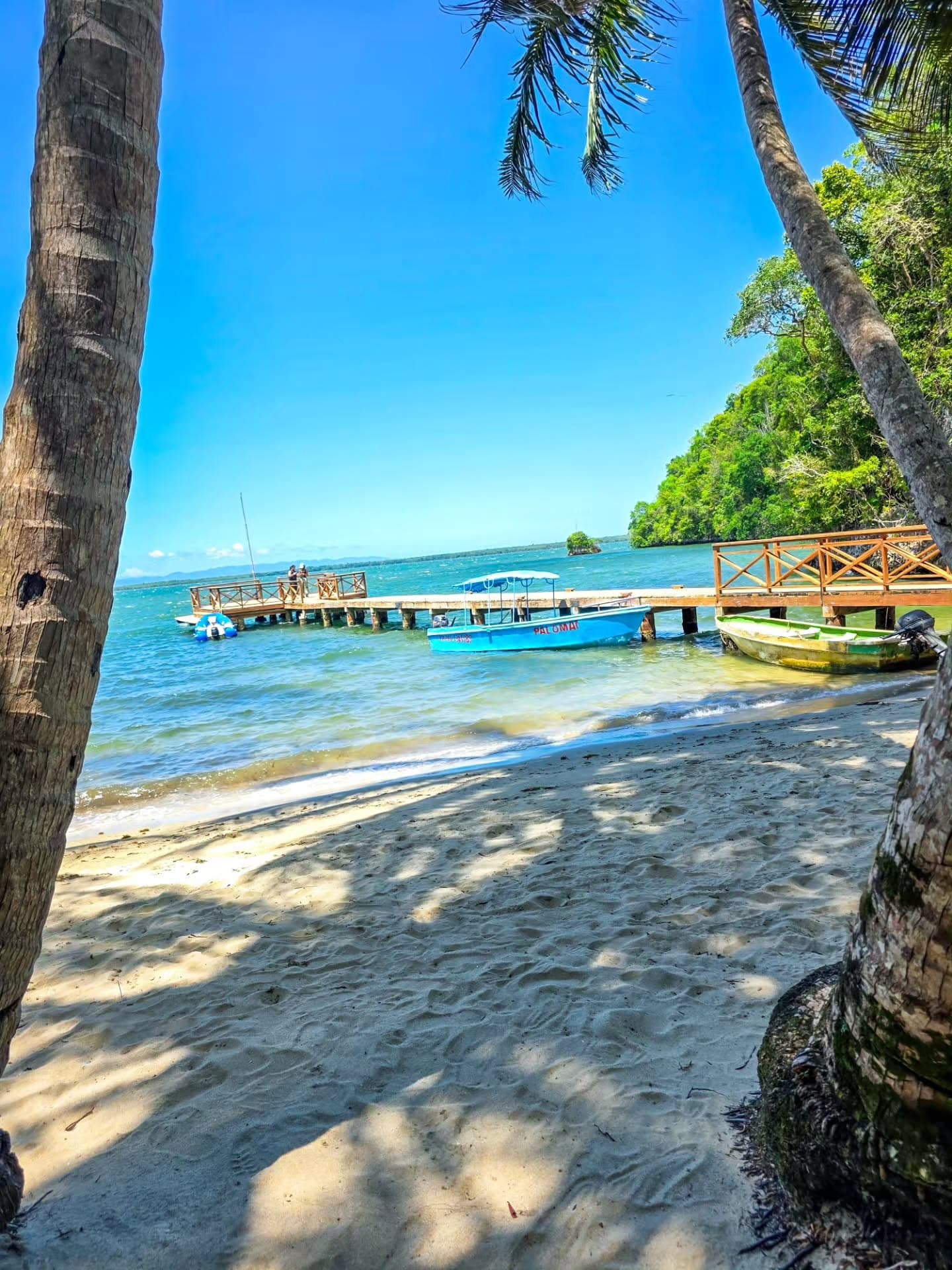 Los Haitises Tour from Las Terrenas & Bacardi Island (Cayo Levantado) — Guided tour and outdoor activity