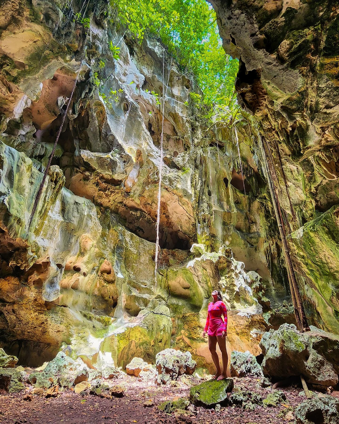 Samana: Los Haitises National Park & Cayo Levantado Tour — Guided tour and outdoor activity