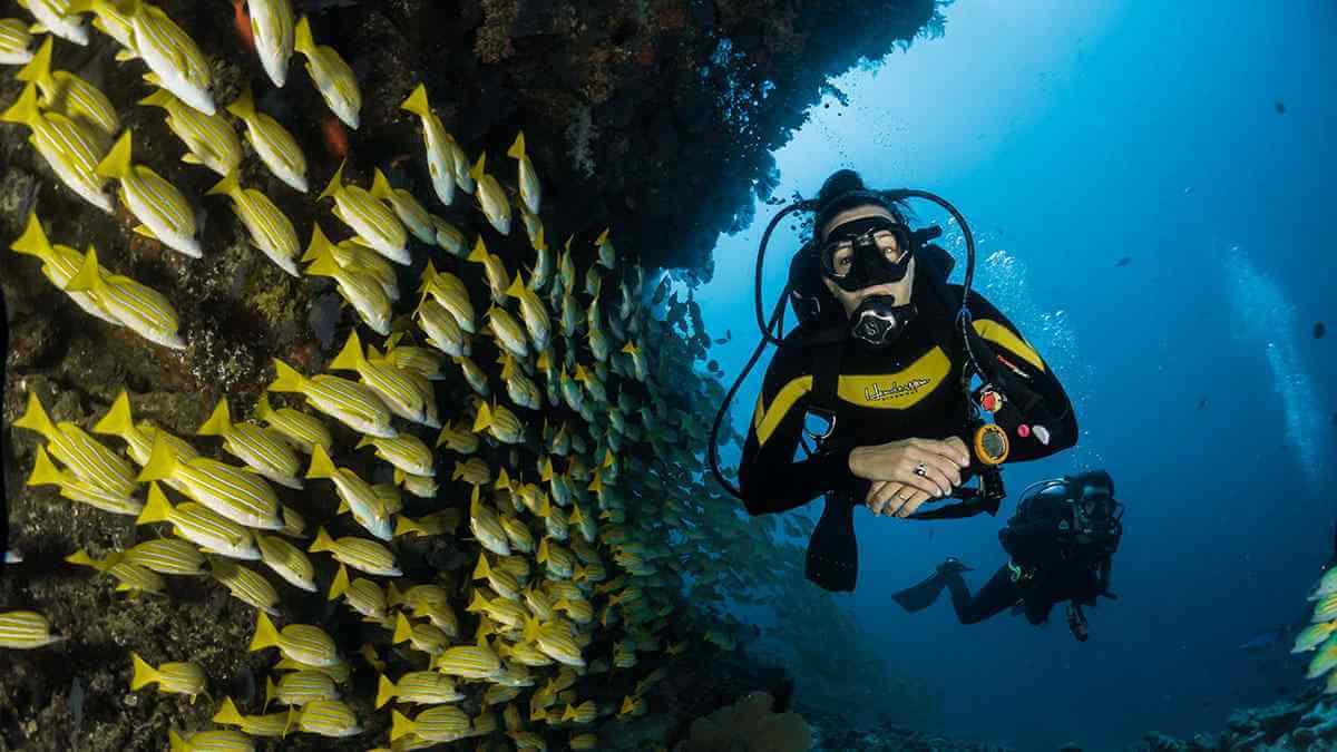 Bayahibe – Cenoten-Tauchen — Guided tour and outdoor activity
