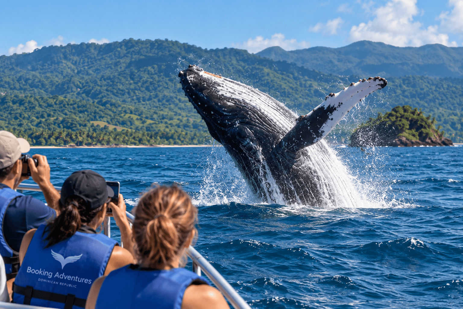 Samaná Whale Watching Season 2027: Best Time to See Humpback Whales - Whale Miches Guide