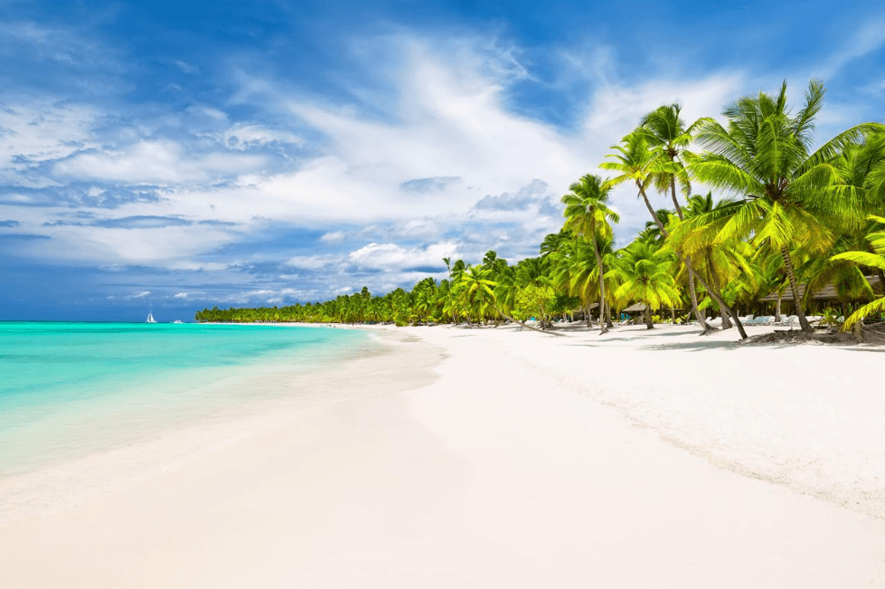 Reiseführer für die Insel Saona: Planen Sie Ihren Besuch