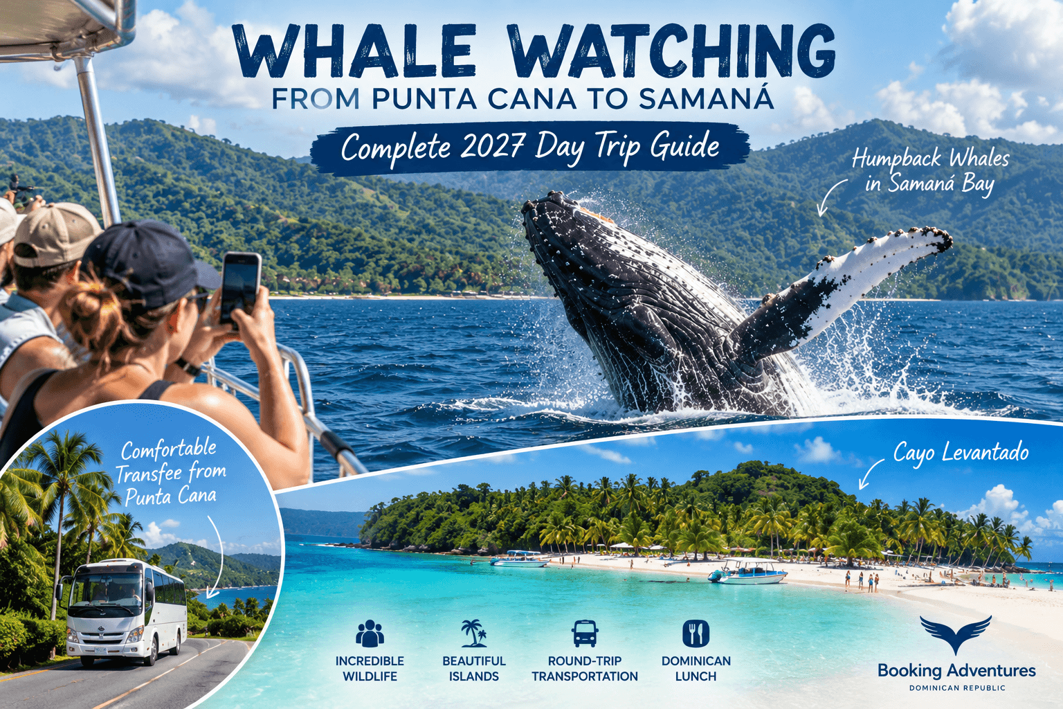 Pozorování velryb z Punta Cana do Samaná: Kompletní průvodce jednodenním výletem 2027 - Whale Miches Guide