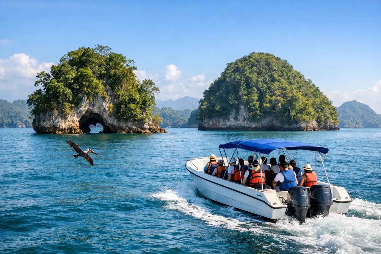 Half-Day Los Haitises NP Boat Tours from Samana - Whale Miches Guide