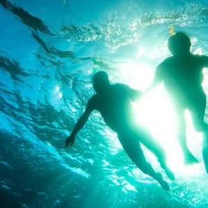 BOOK WITH LOCALS 12 99 119