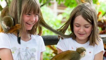 Transfery a taxíky Monkey land v Puerto Plata