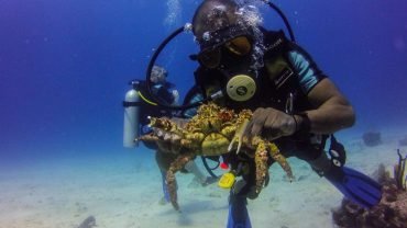 La Romana: Potápění na ostrově Catalina