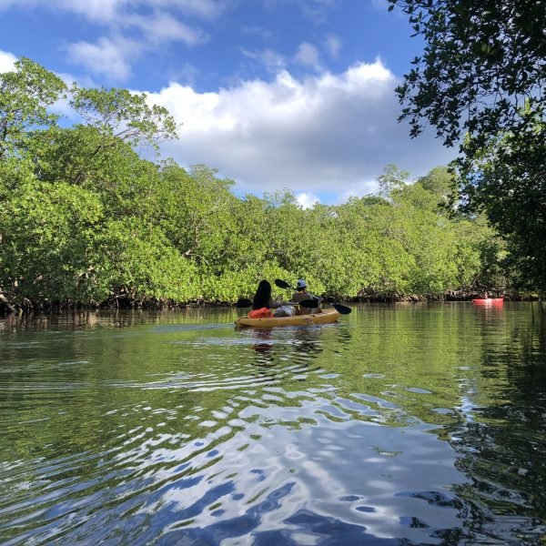 KAYAKING scaled