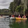 Los Haitises Excursion Kayak Tour in Kayaks los haitises cano hondo 10 scaled 1