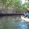 Los Haitises Excursion Kayak Tour in Kayaks los haitises cano hondo 2 scaled 1