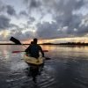 Los Haitises Excursion Kayak Tour in Kayaks los haitises cano hondo 26 scaled 1