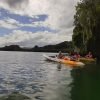 Los Haitises Excursion Kayak Tour in Kayaks los haitises cano hondo 3 scaled 1