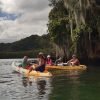 Los Haitises Excursion Kayak Tour in Kayaks los haitises cano hondo 5 scaled 1