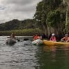 Los Haitises Excursion Kayak Tour in Kayaks los haitises cano hondo 7 scaled 1