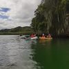 Los Haitises Excursion Kayak Tour in Kayaks los haitises cano hondo 8 scaled 1
