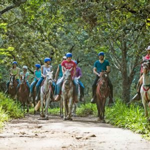 jimenoa waterfall horse back ride